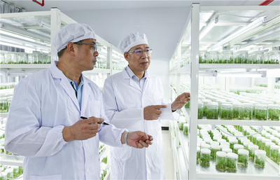 鍛造農業&ldquo;芯&rdquo;,福建打響種業翻身仗