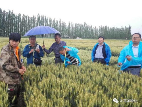 種業(yè)核心競爭力與未來發(fā)展核心探析