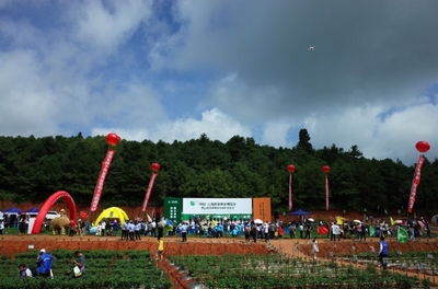 2019云南蔬菜種業博覽會開幕，推動種業創新與蔬菜產業升級