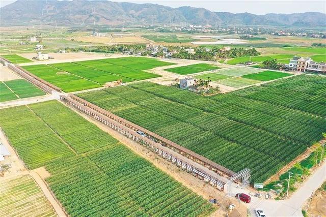 深度參與南繁產業建設，海墾南繁產業集團 打造種業新力量